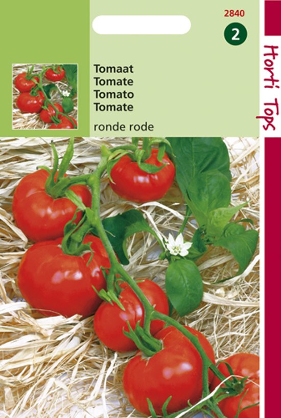 Tomaat St. Pierre (Solanum) 600 zaden